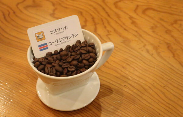 コスタリカ　コーラルマウンテン